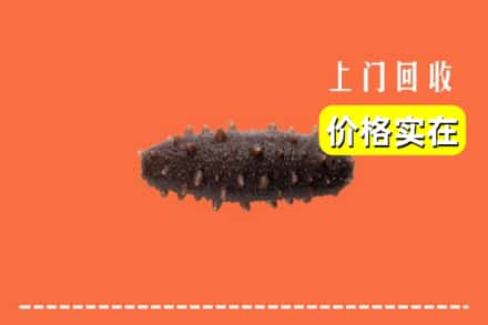 治多县回收海参