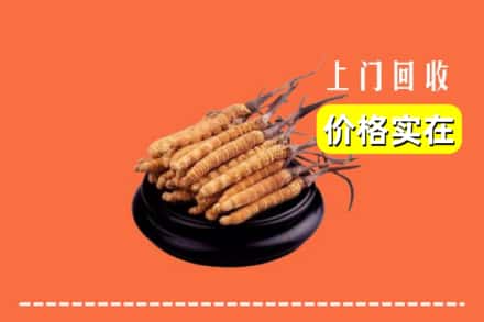 治多县回收冬虫夏草