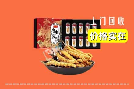 治多县回收虫草